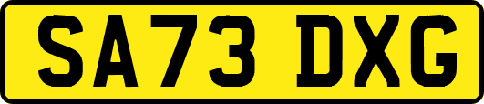 SA73DXG