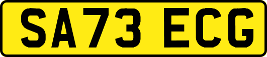 SA73ECG