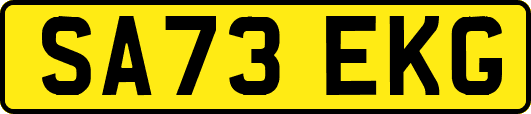 SA73EKG