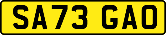 SA73GAO
