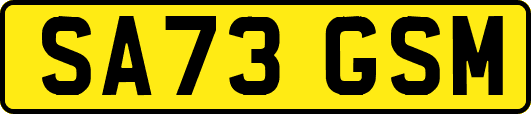 SA73GSM