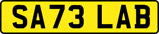 SA73LAB