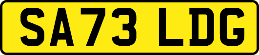SA73LDG