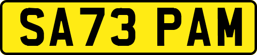 SA73PAM