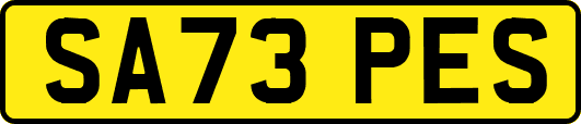 SA73PES