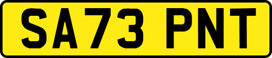 SA73PNT