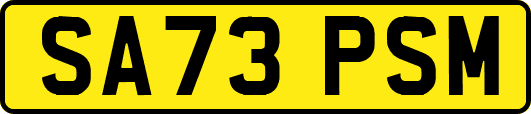 SA73PSM
