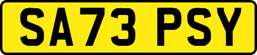 SA73PSY