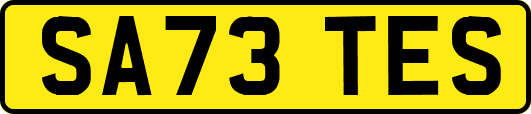 SA73TES