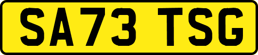 SA73TSG