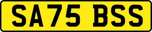 SA75BSS