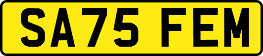 SA75FEM