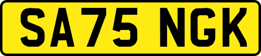 SA75NGK