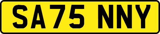 SA75NNY