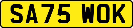 SA75WOK