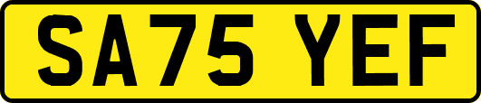 SA75YEF