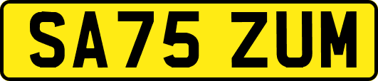 SA75ZUM