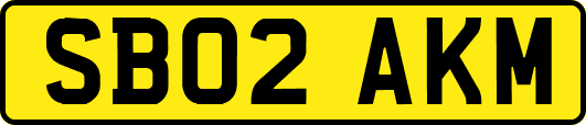 SB02AKM
