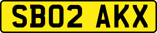 SB02AKX
