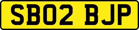 SB02BJP