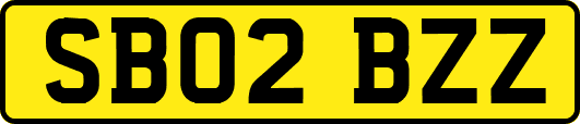 SB02BZZ