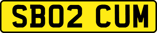 SB02CUM