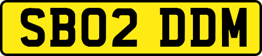 SB02DDM