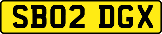 SB02DGX