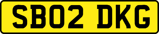 SB02DKG