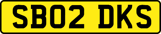 SB02DKS