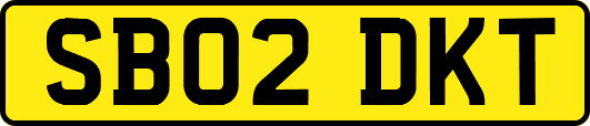 SB02DKT
