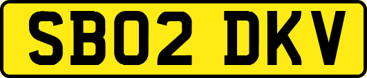 SB02DKV