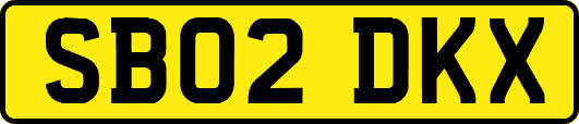 SB02DKX