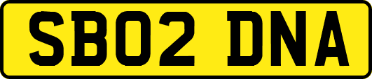 SB02DNA