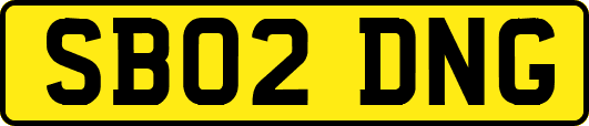 SB02DNG