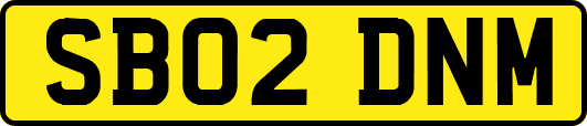 SB02DNM