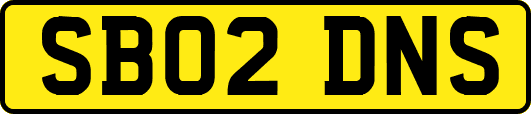 SB02DNS