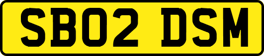 SB02DSM