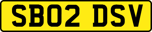 SB02DSV