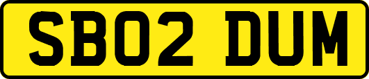 SB02DUM