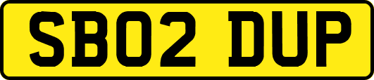 SB02DUP