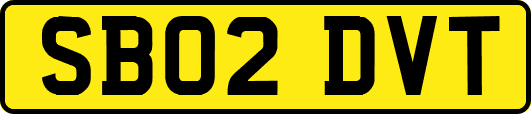 SB02DVT