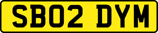 SB02DYM