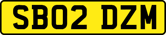 SB02DZM