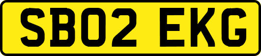 SB02EKG