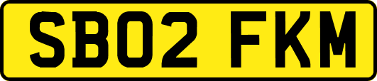 SB02FKM