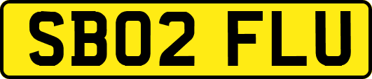 SB02FLU