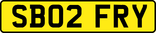 SB02FRY