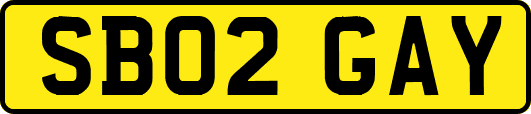 SB02GAY