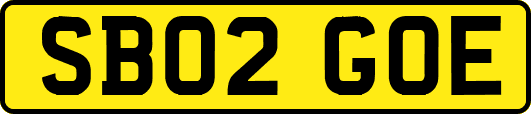 SB02GOE